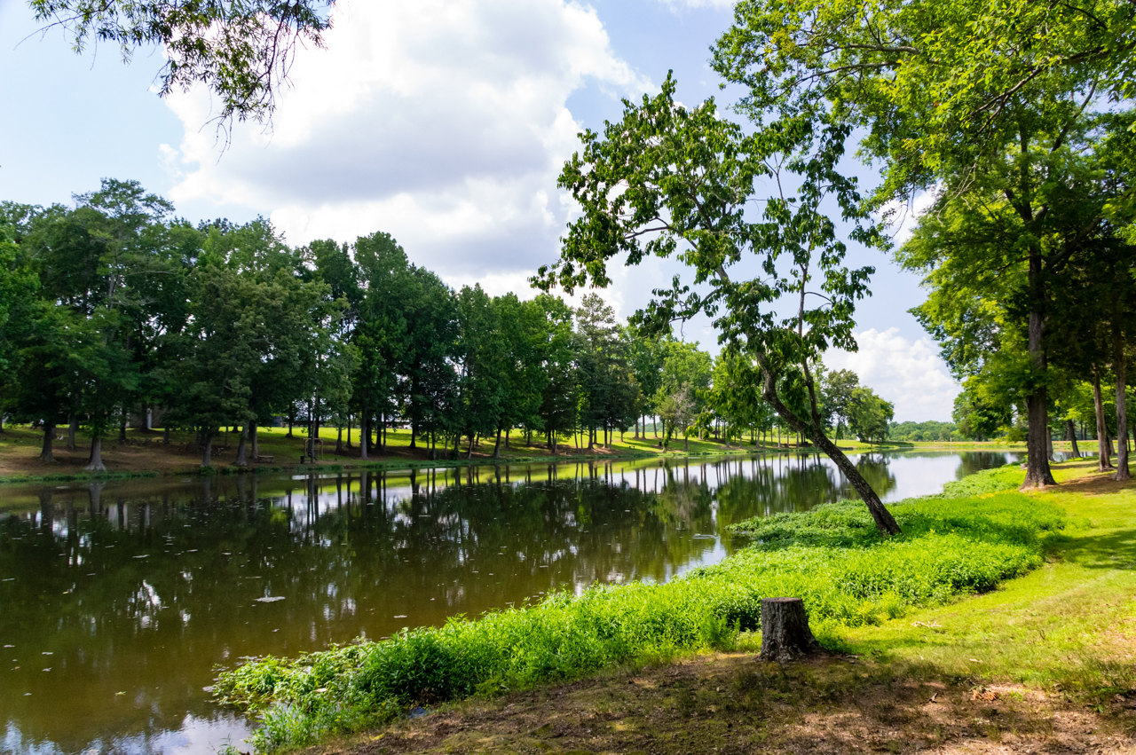 Exploring Huntsville's Sharon Johnston Park