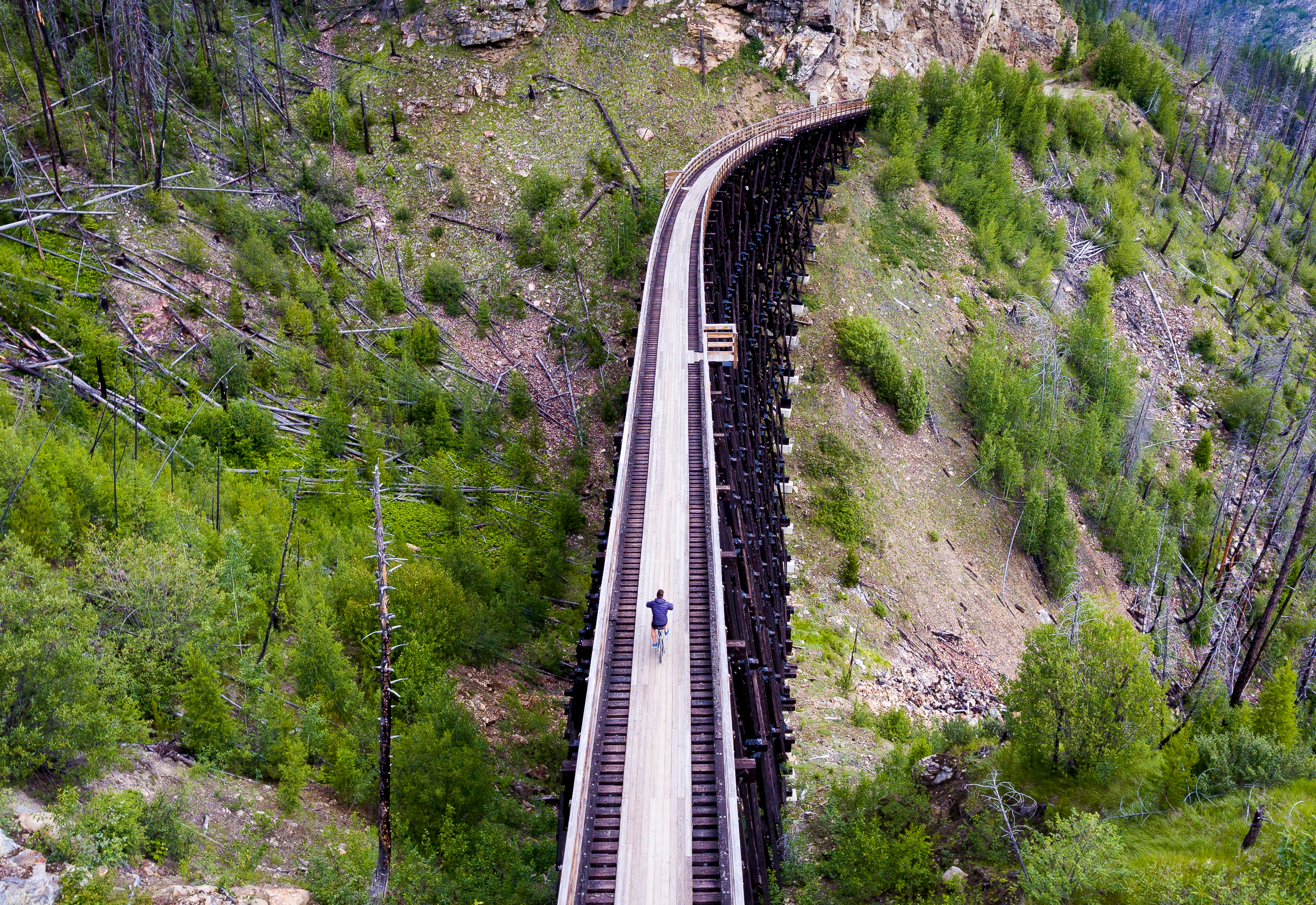 Myra Canyon Trestles in Kelowna Electric Kettle Redesigns : electric kettle