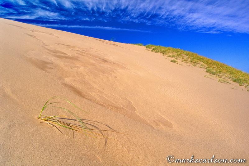 Dunescape