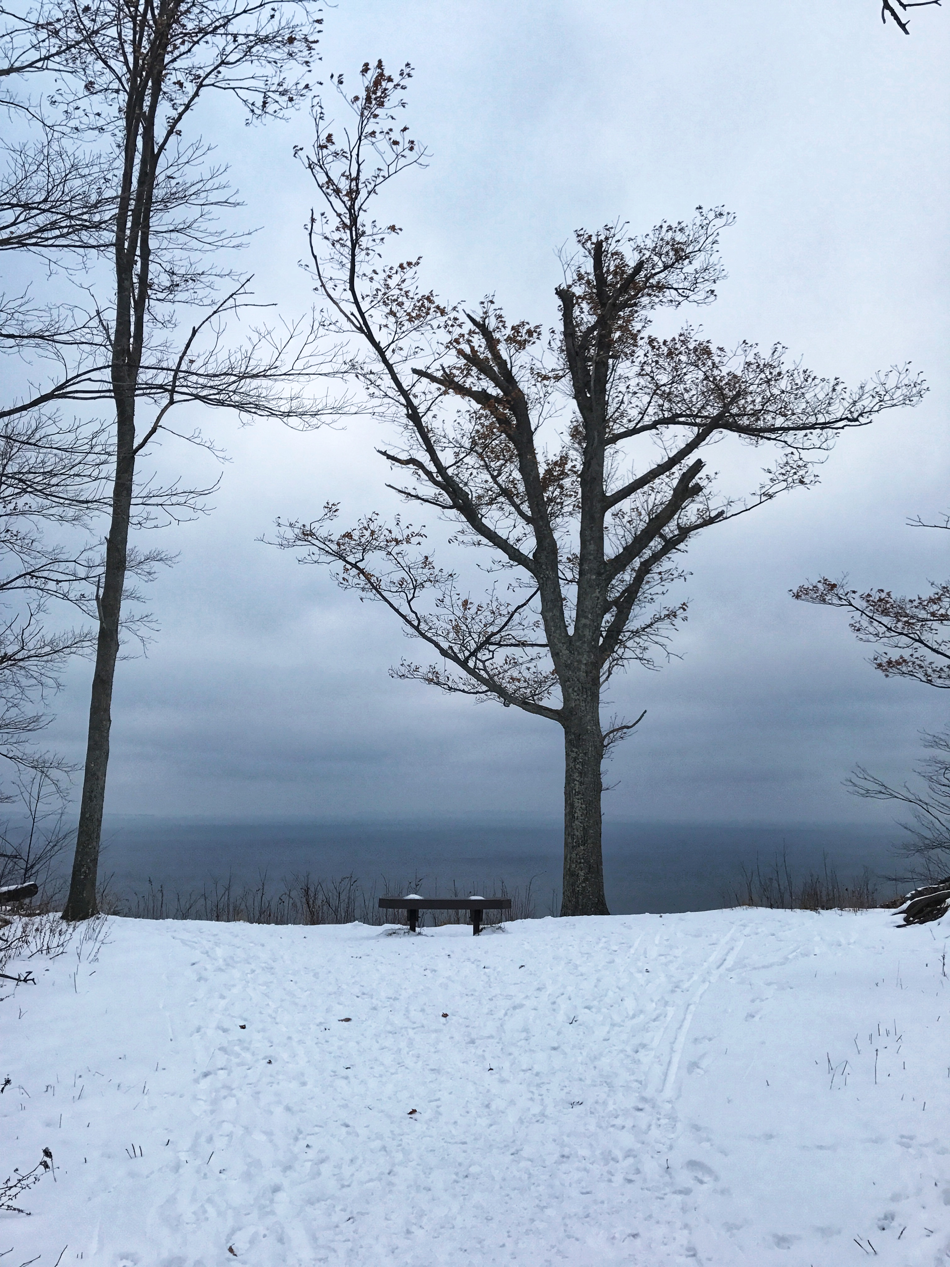 Approaching the Lake Michigan Overlook