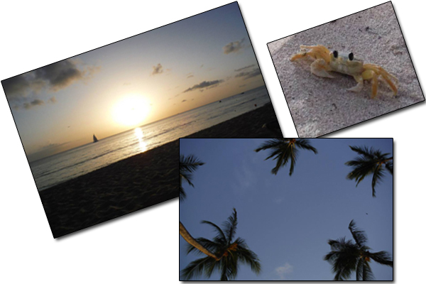 Barbados Beach