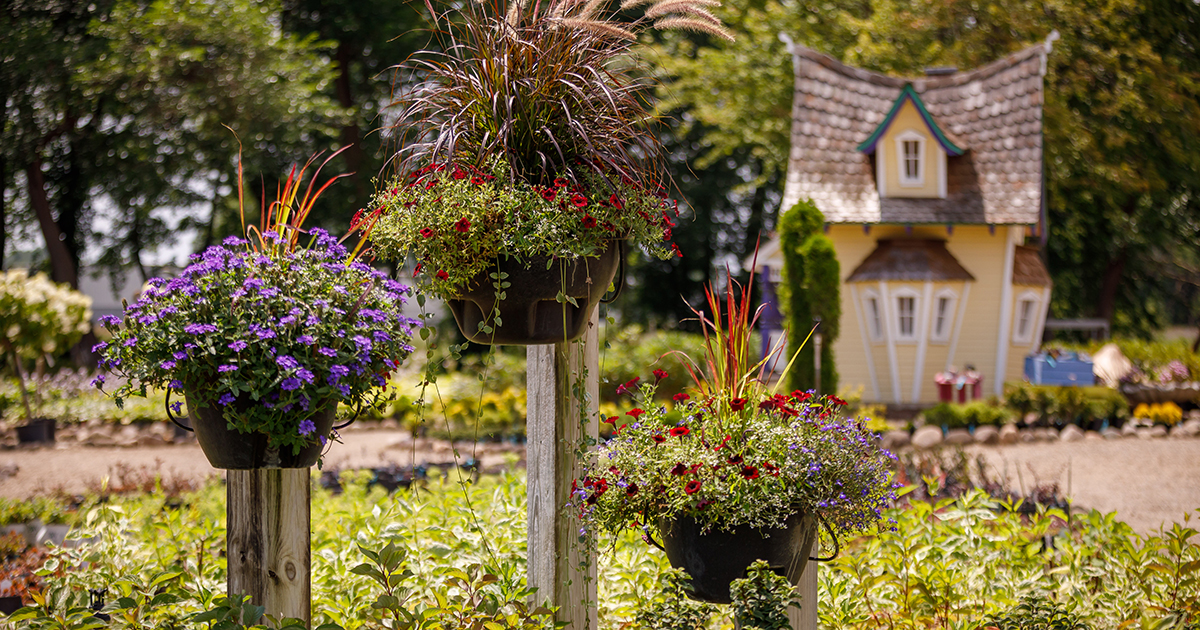 Six places to go big for your garden