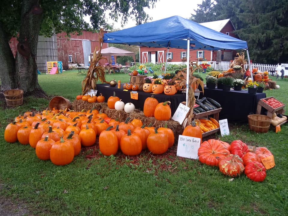 Fall Festivities in Oshkosh