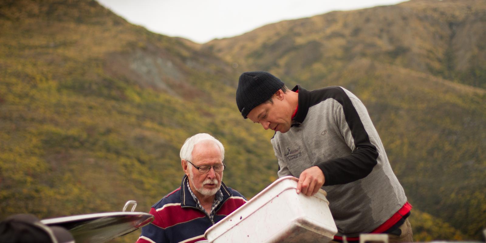 Alan Brady in Queenstown wine harvest Alan Brady in Queenstown wine harvest