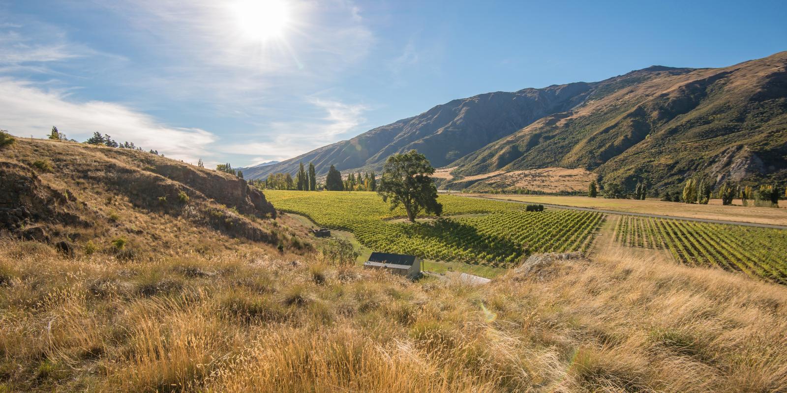 Kinross Winery near Queenstown Kinross Winery Queenstown New Zealand