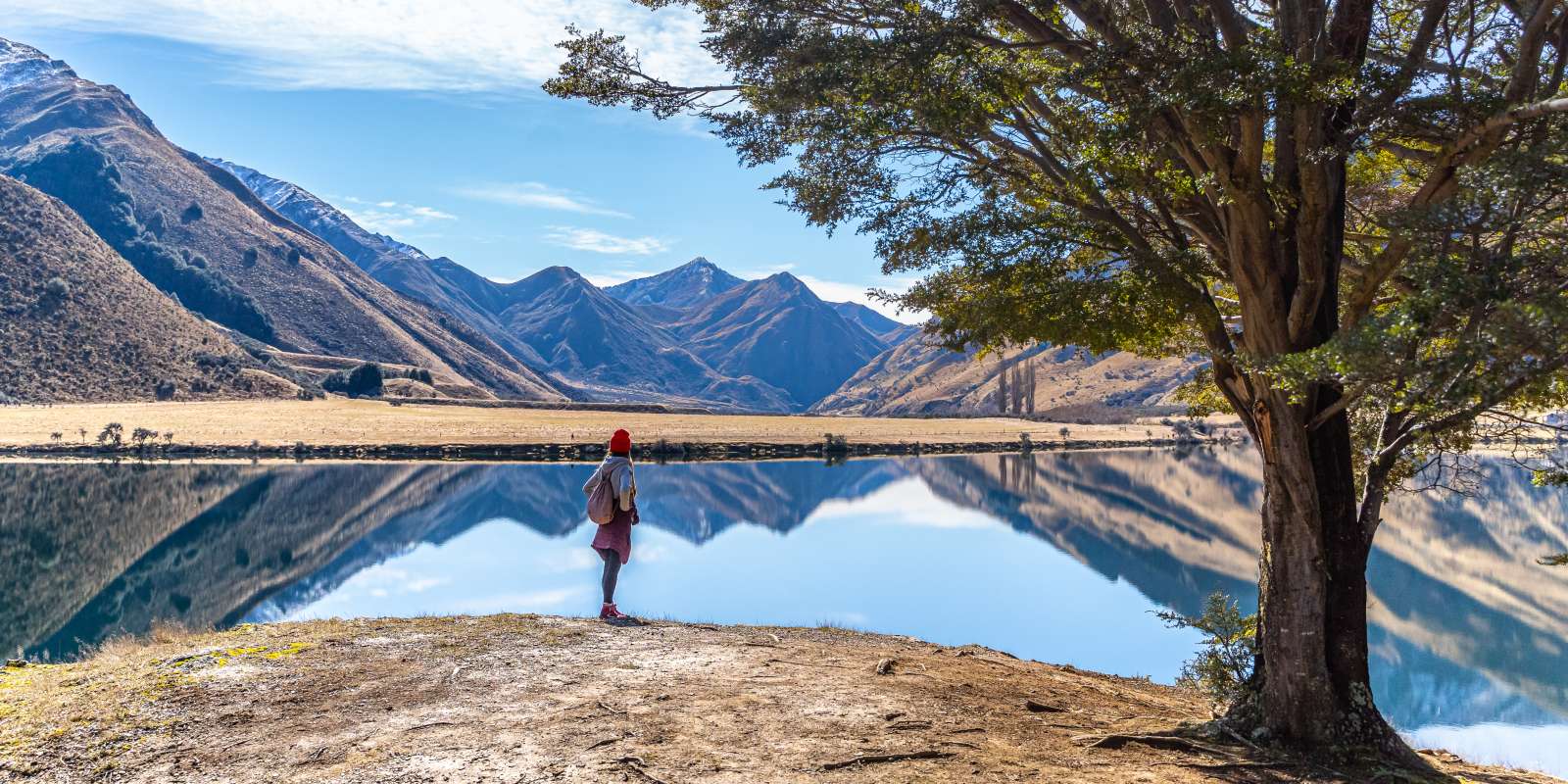 Your Guide To Queenstown Walks And Hikes Queenstown Nz