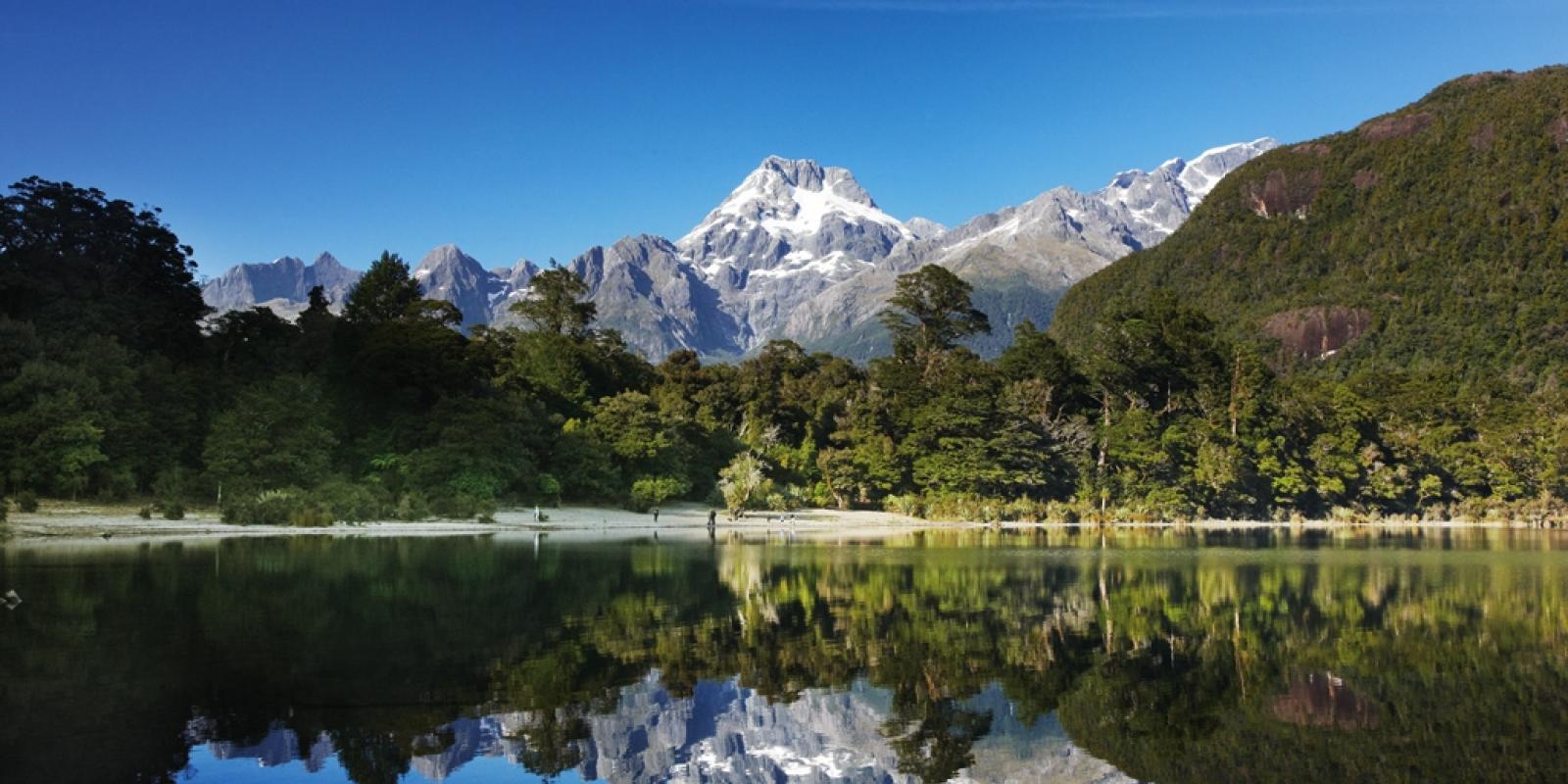 Hollyford Track Hollyford Track Great Walk of New Zealand from Queenstown