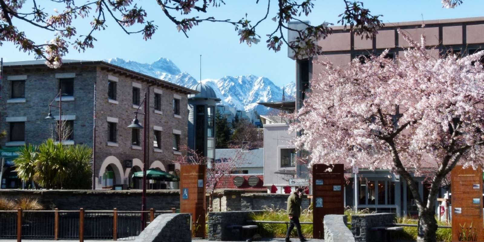 Spring Blossoms on the Village Green, Queenstown Spring Blossoms on the Village Green, Queenstown