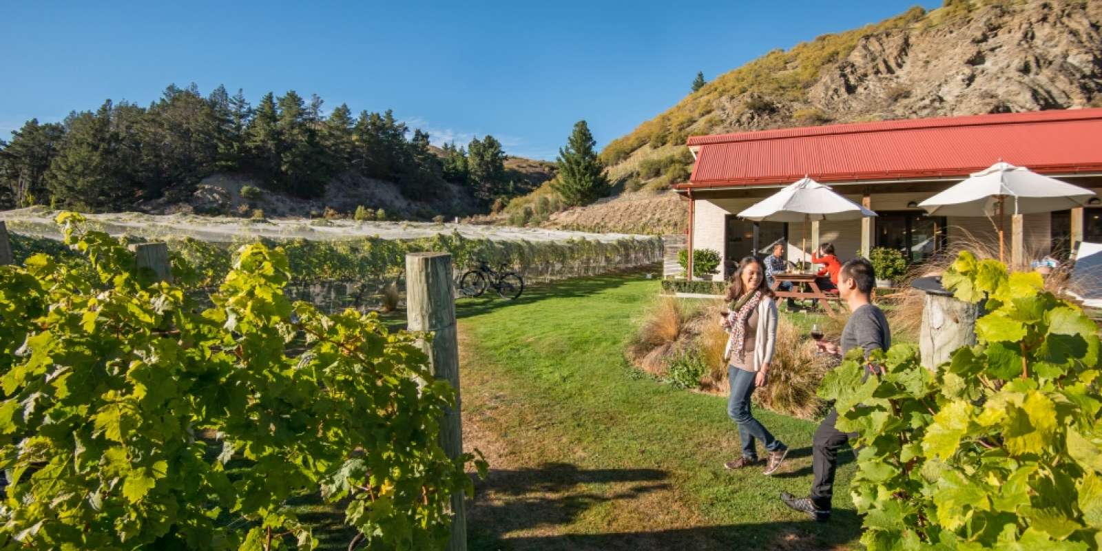 Visit a winery in Gibbston Valley Visit a winery in Gibbston Valley