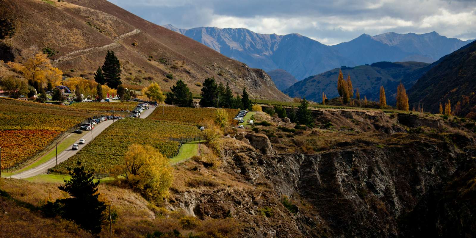 Overlooking Gibbston Valley Overlooking Gibbston Valley