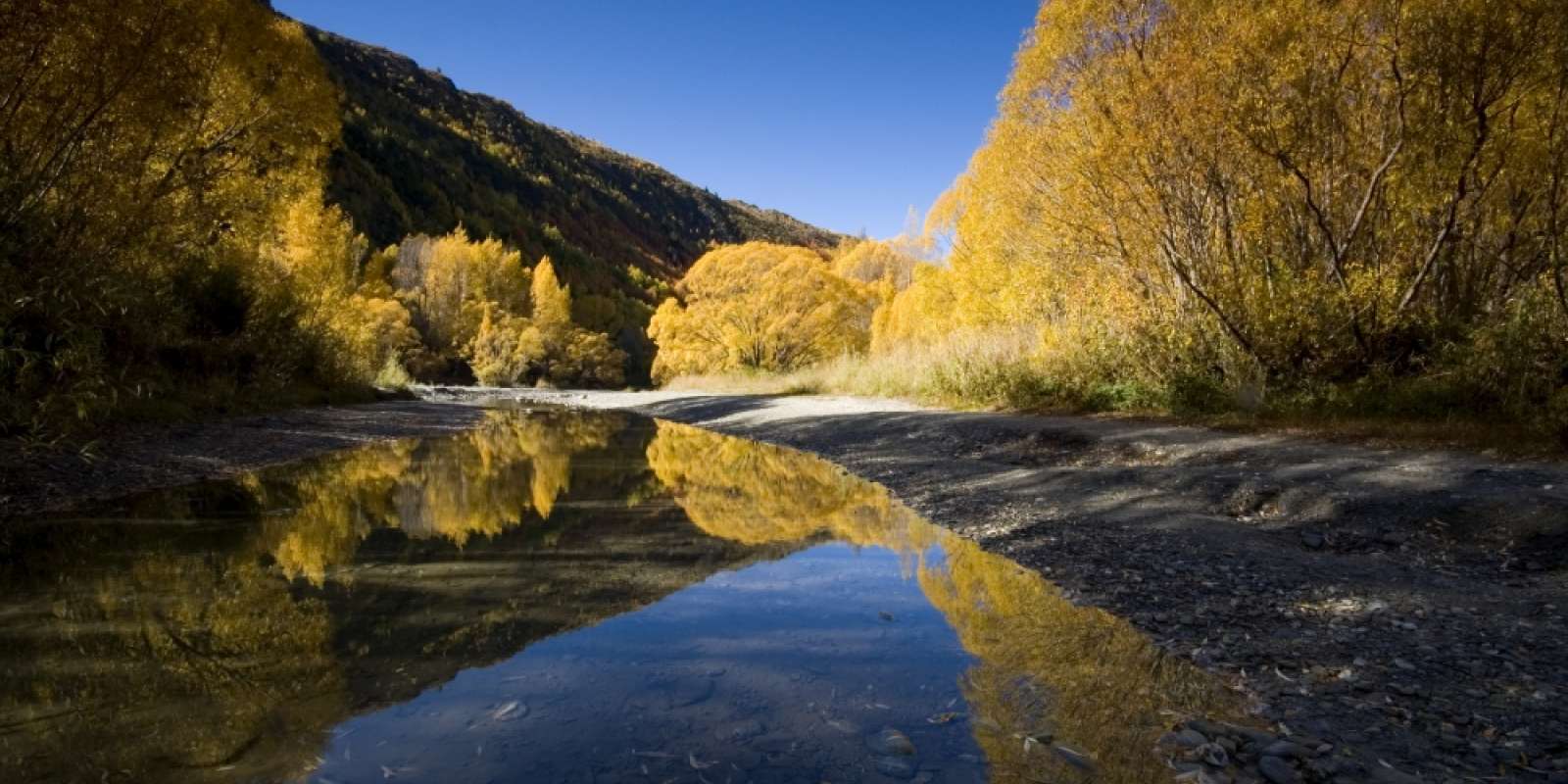 The Arrow River in Autumn, Arrowtown The Arrow River in Autumn, Arrowtown