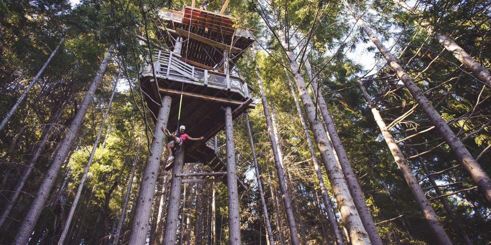 Kereru Ziptrek tour Kereru Ziptrek tour