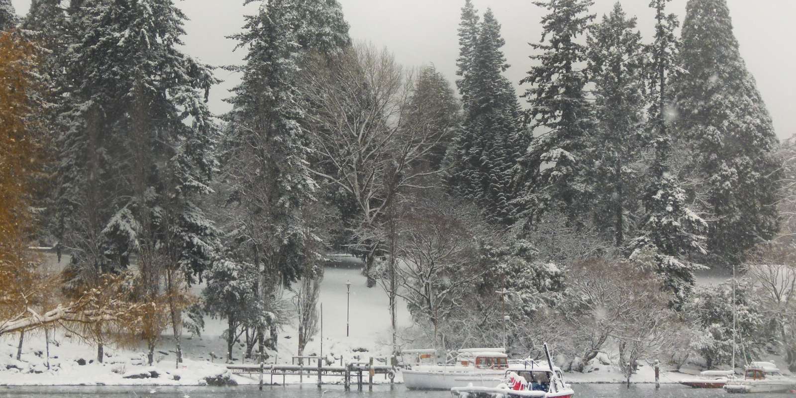 Snowy days in Queenstown The Queenstown Gardens covered in snow