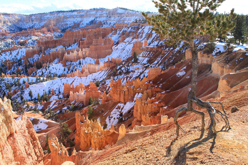 wallpapers Bryce Canyon National Park Sunrise Point Photos bryce canyon main viewpoints