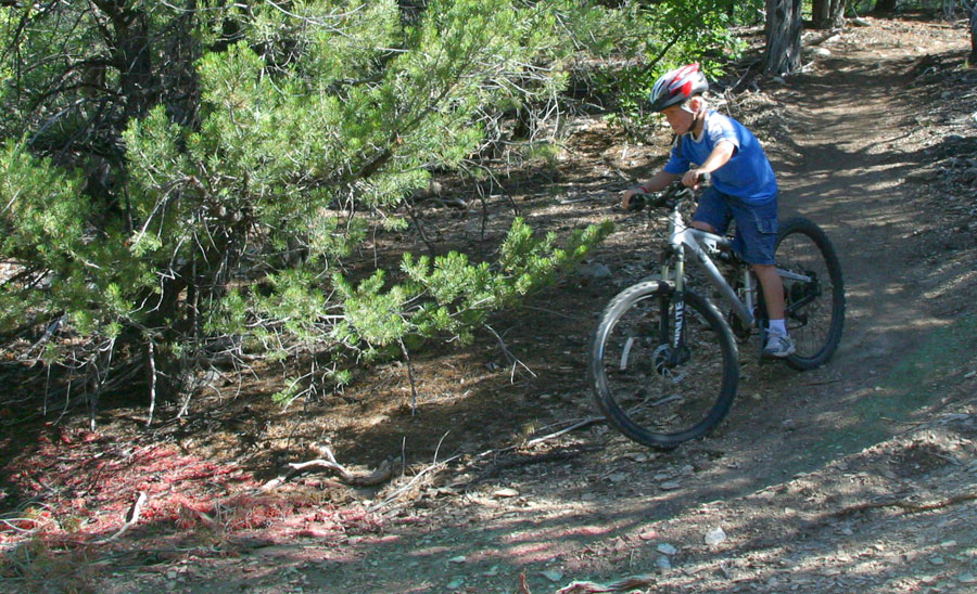 mountain biking near bryce canyon