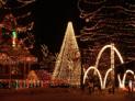 lights