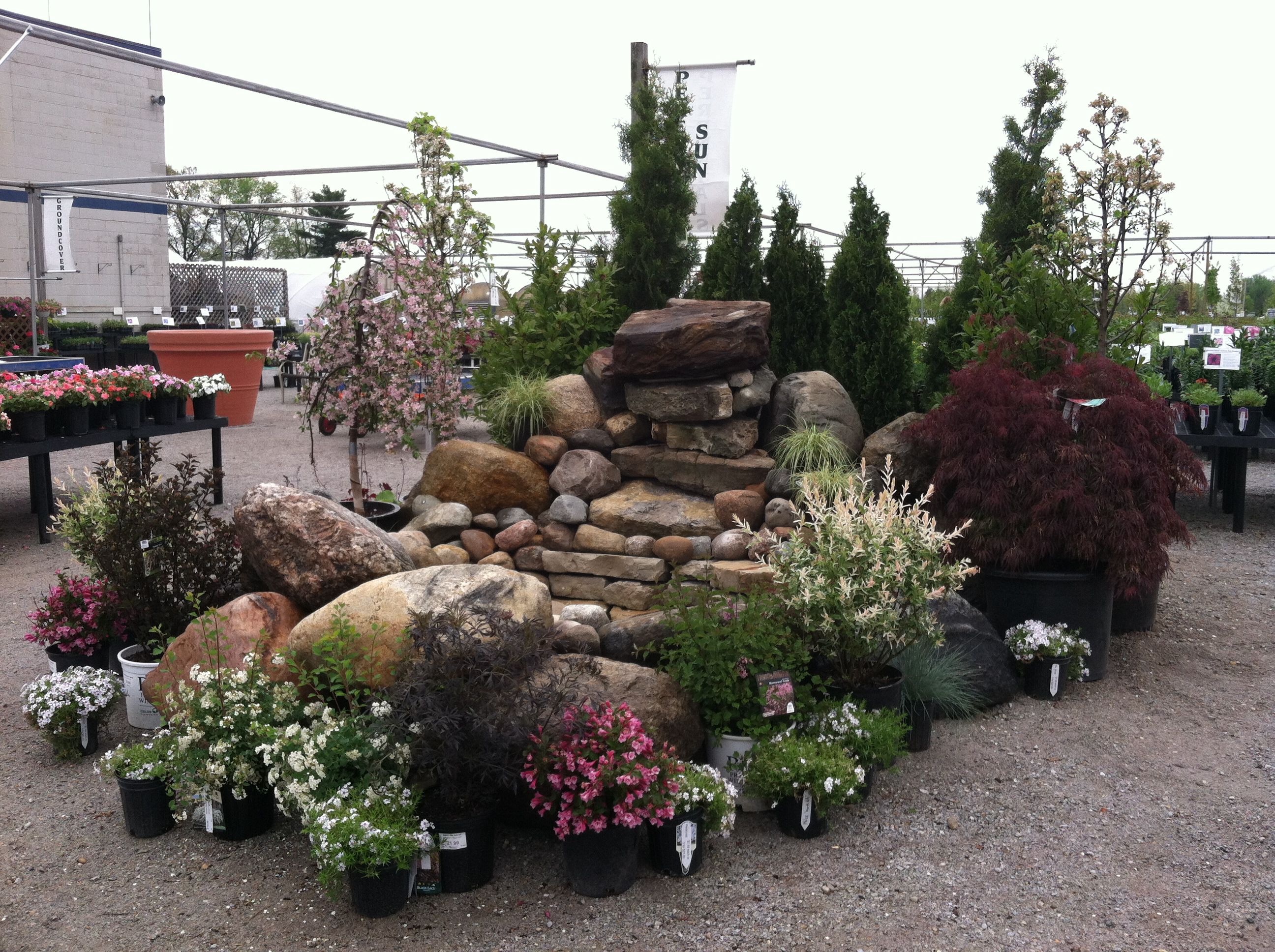 S Flowers Lafayette In Best Flower Site