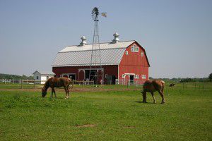 The Farm at Prophetstown- Horses Grazing