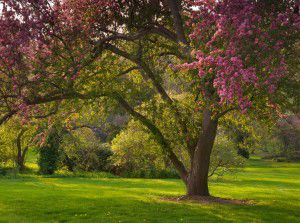 Horticulture Park (Photo taken in the spring)