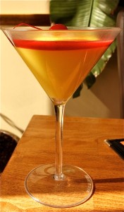 Fresh Mango Mousse