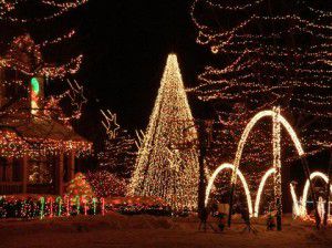 480_DSCN2613