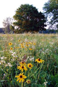 Prophetstown State Park