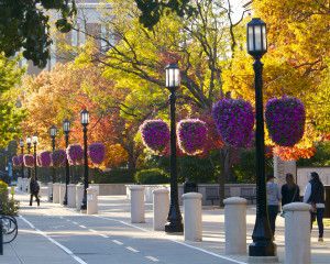 Campus Baskets and Walk