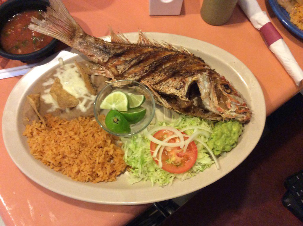 The fish on the plate