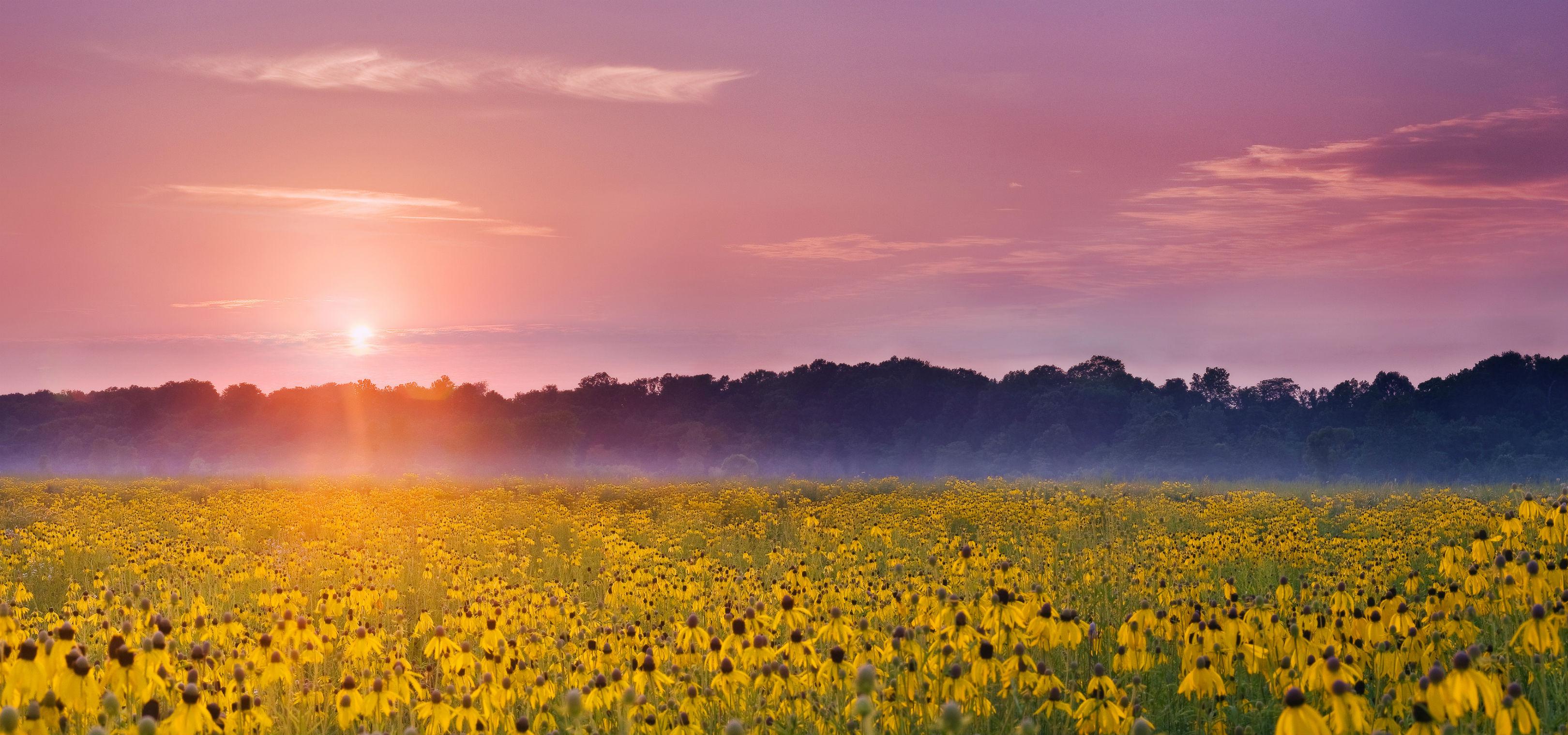 Prophetstown State Park