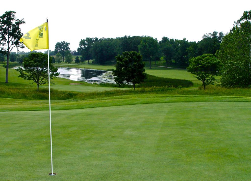 Water Hole With Flag Far