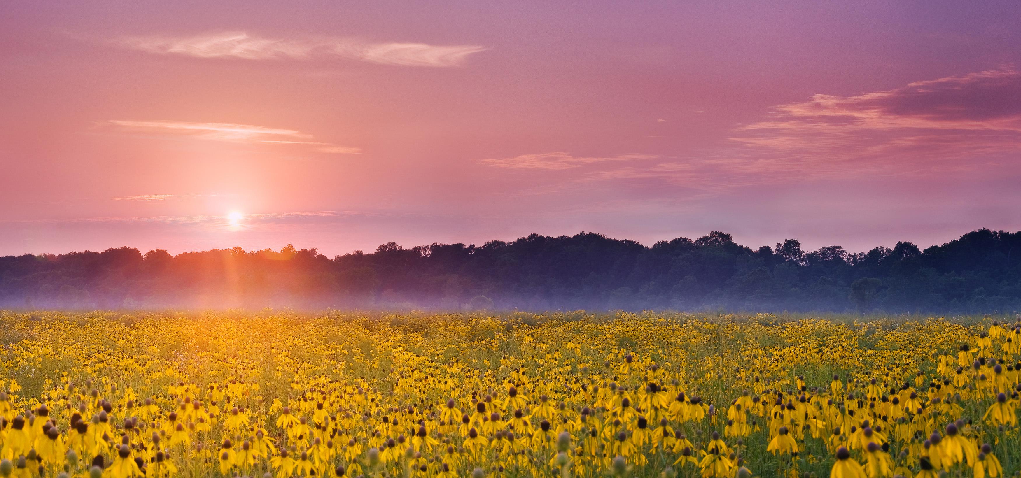 Prophetstown State Park