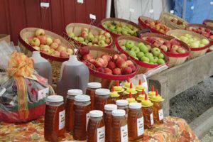 Wea Creek Orchard
