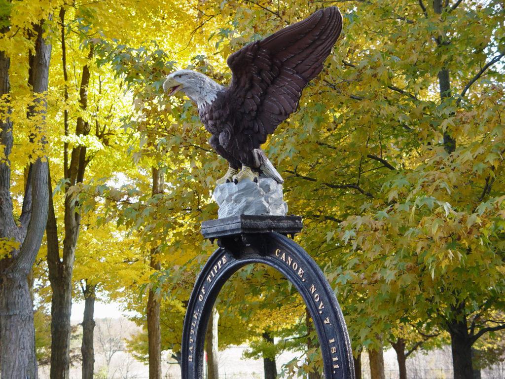 battfieldfalleagle