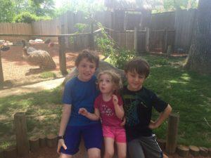 The Zoo!