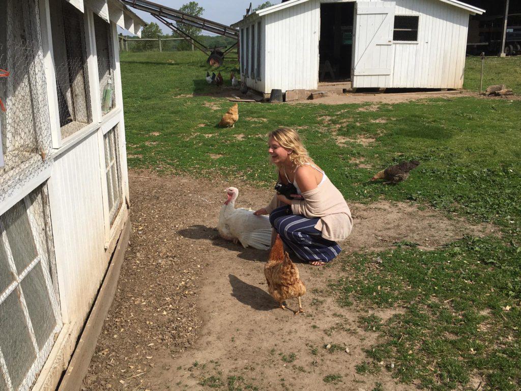 Hi chickens!