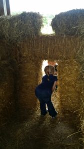 Farm 2015.8