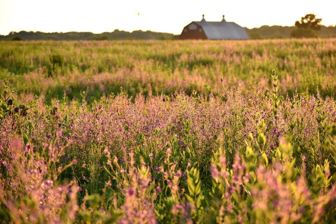 Farm at Prophetstown