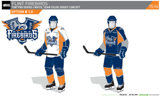 Flint Firebirds logo