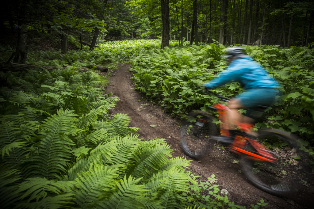 A female mountain biker rides the Noquemanon Trails Network's Gorgeous Trail along the Carp River in Marquette, Michigan.