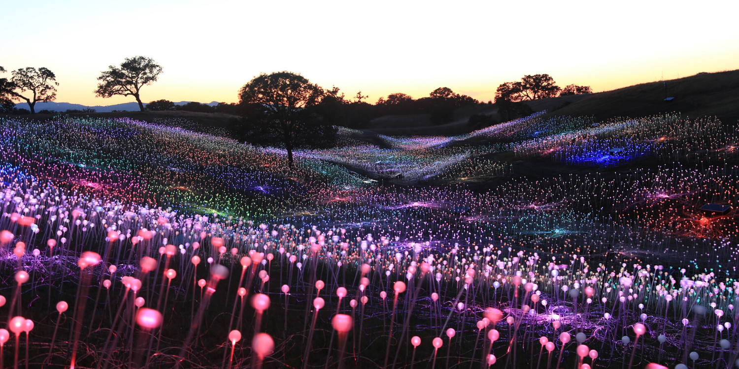 Field Of Light at Sensorio | Paso Robles