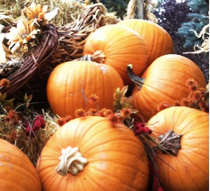 Harvest colors take center stage on the old wagon outside the Inn on the Alameda during an autumn visit to Santa Fe.