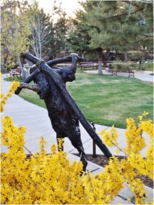 The first flowers of spring — forsythia — bloom in abundance in Bishop Lamy’s quiet garden adjacent to the Cathedral Basilica of St. Francis.