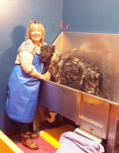 A bathing beauty takes a break at the Pooch Pantry. (Photo credit: Pooch Pantry Bakery & Boutique)