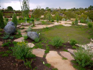 Blue skies and native plants tell the tale of Santa Fe’s botanical history. (Photo Credit: Santa Fe Botanical Garden)