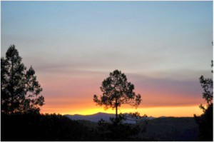When Walkabouts take you to the top, the colors never seem to stop. (Photo Credit: Santa Fe Walkabouts)