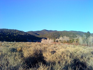 Santa Fe makes it easy to get up close and personal with nature.