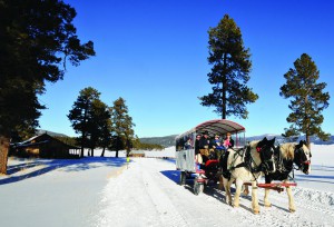 winter, outdoors, national preserve, santa fe, new mexico