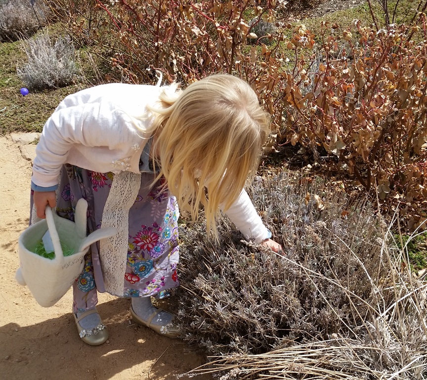 Let the Easter egg hunt begin! (Photo courtesy of Santa Fe Botanical Garden)