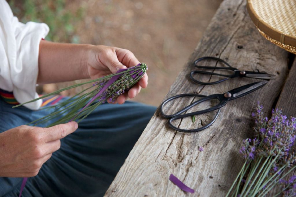 Learn all about herbs and lavender at this popular event! (Photo courtesy of El Rancho de las Golondrinas)