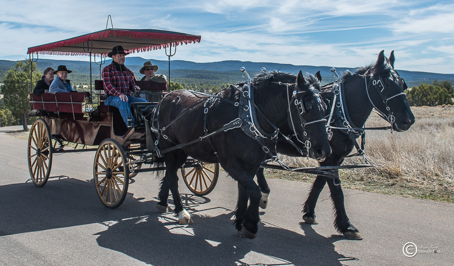 You'll enjoy horse-drawn wagon rides and learn captivating Civil War history. (Photo by Stan Ford Copyright 2017)